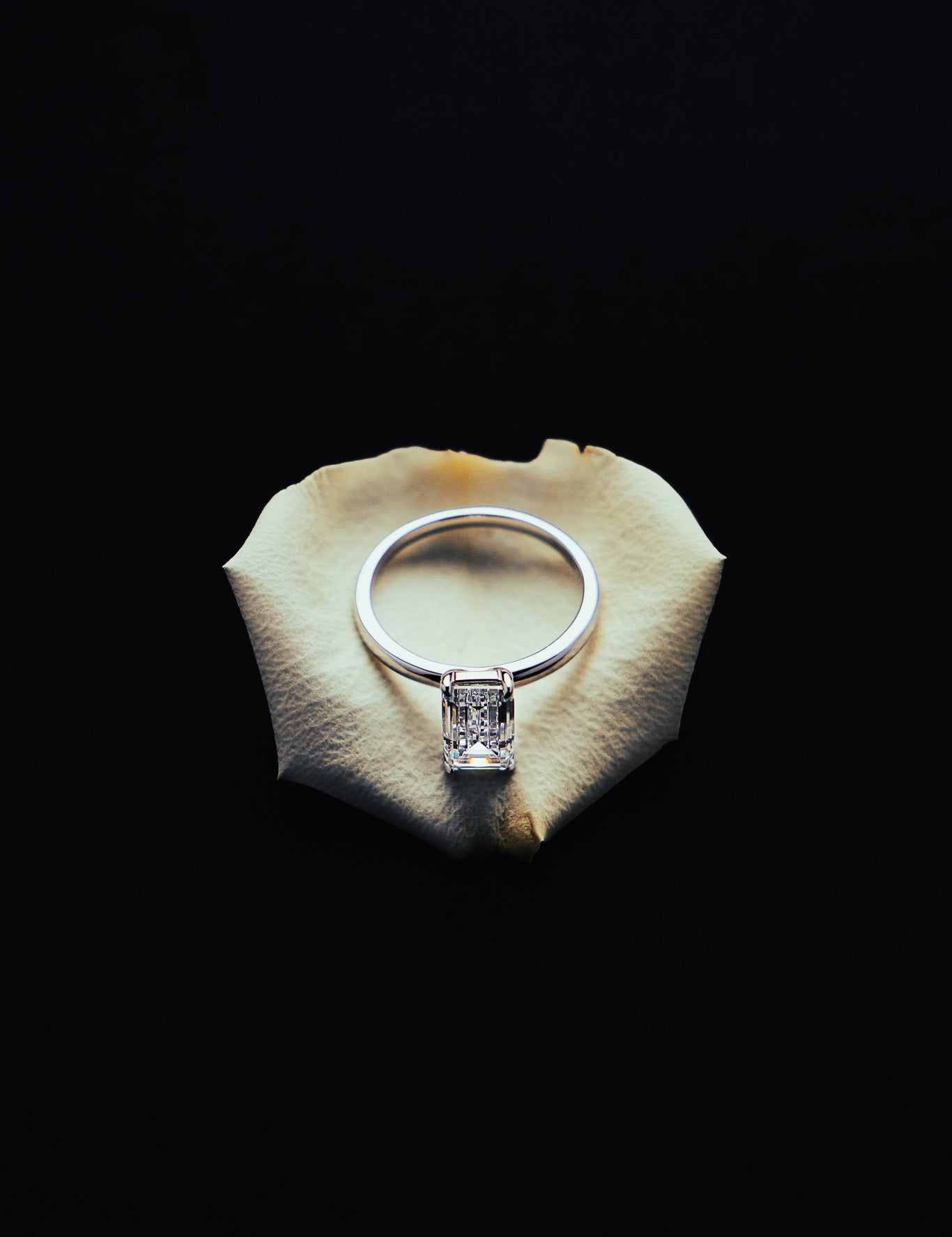 Roen Ring