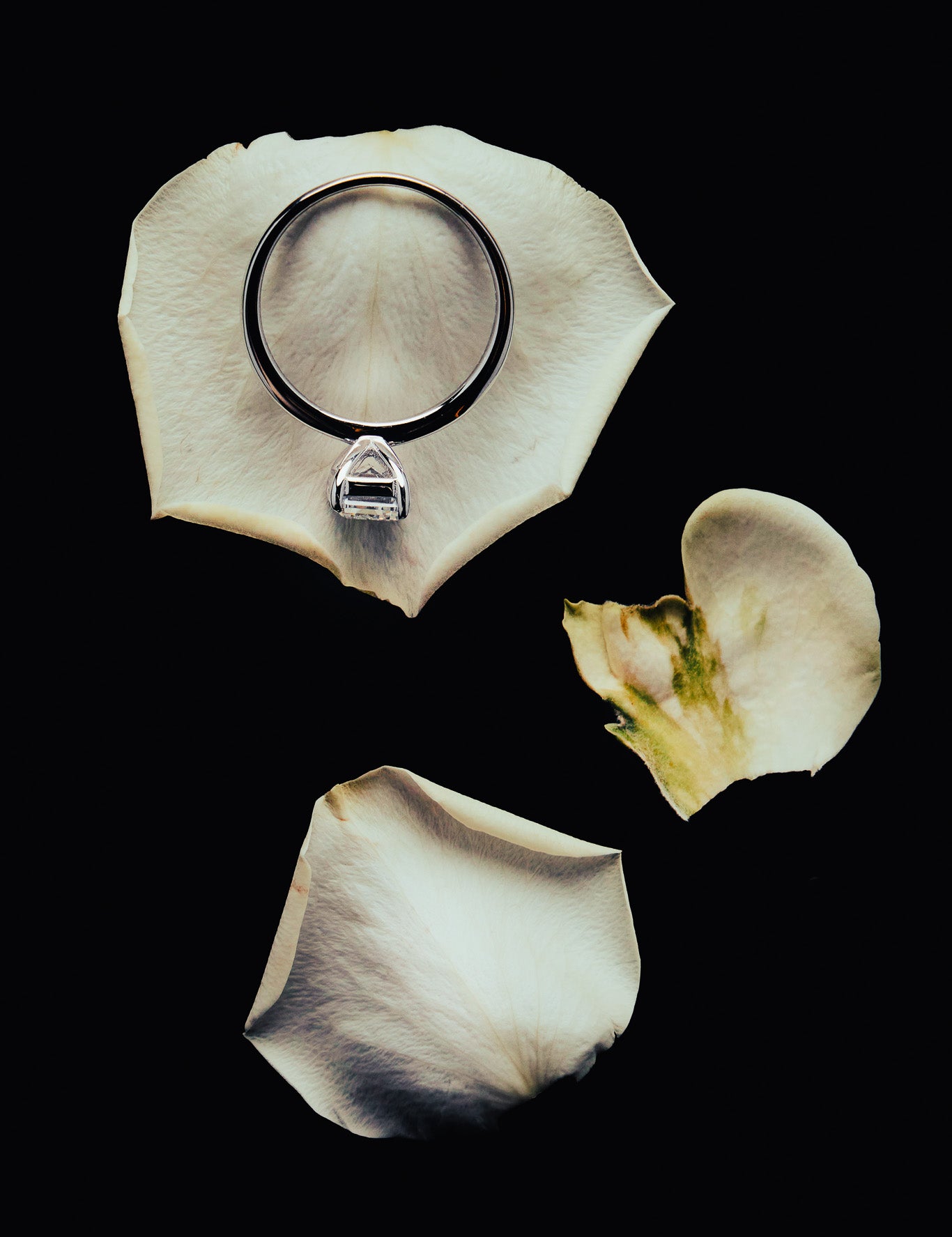 Roen Ring