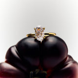 Ciel Ring